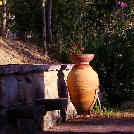 Tenuta Macetona Celle sul Rigo Екстер'єр фото